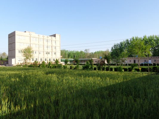 Ashraf Medical Complex in the middel of the Wheat Fields 