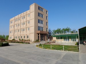 Ashraf Medical Complex